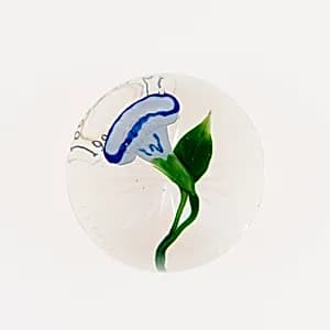 Paperweight by Clichy Glasshouse
