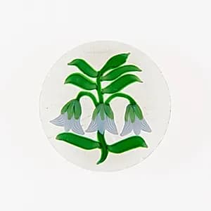 Paperweight by Baccarat Glassworks