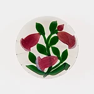 Paperweight by Baccarat Glassworks