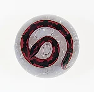 Paperweight by Compagnie de Saint Louis