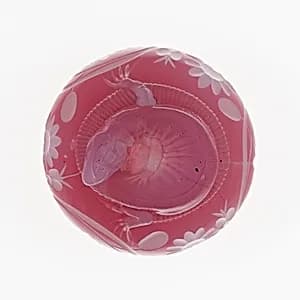 Paperweight by Compagnie de Saint Louis