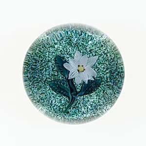 Paperweight by Compagnie de Saint Louis