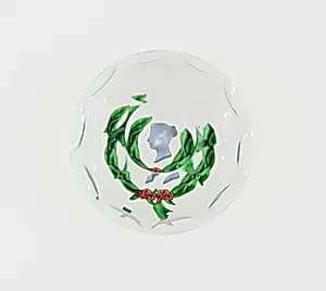 Paperweight by Compagnie de Saint Louis