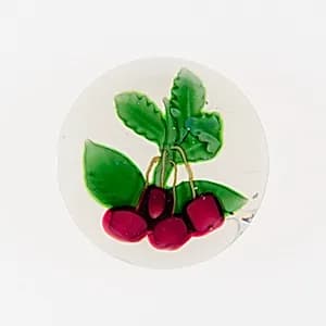 Paperweight by Compagnie de Saint Louis