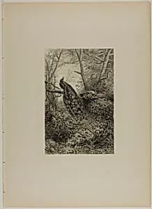 Peacocks on a Bough