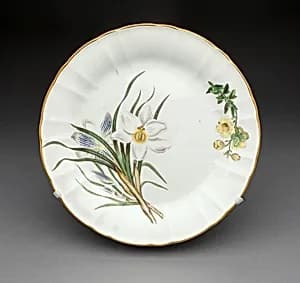 Plate