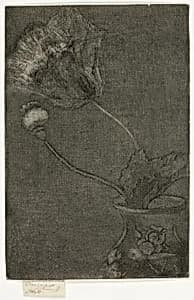 Poppy in a Vase by Theodore Roussel