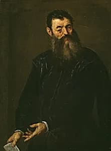 Portrait of a Gentleman by Jacopo Negretti, called Palma Giovane