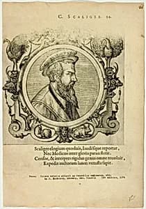 Portrait of C. Scaliger
