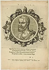 Portrait of Nicander
