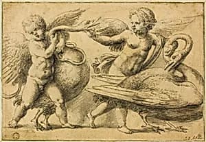 Putti Playing with Swans