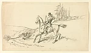 Rider Reining in Horse