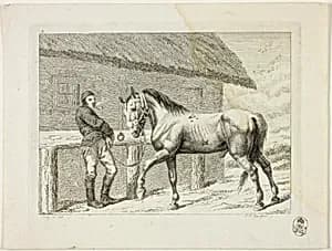 Riding School and Horses