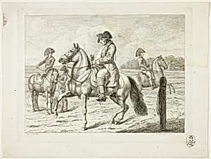 Riding School and Horses