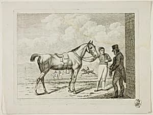 Riding School and Horses