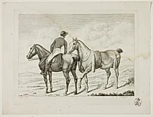 Riding School and Horses