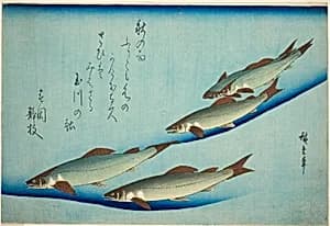 River trout by Utagawa Hiroshige