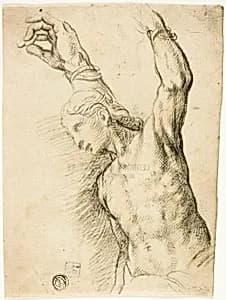 Saint Sebastian by Vincenzo Campi