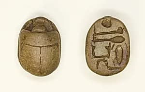 Scarab: Aakheperkara (Thutmose I) by Ancient Egyptian