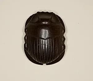 Scarab Amulet by Ancient Egyptian