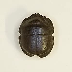 Scarab Amulet by Ancient Egyptian