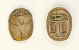 Scarab: Maatkara (Hatshepsut) by Ancient Egyptian