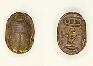 Scarab: Menkheperra (Thutmose III) by Ancient Egyptian