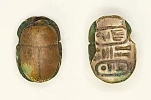 Scarab: Menkheperra (Thutmose III) by Ancient Egyptian