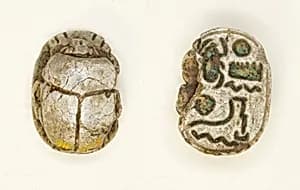 Scarab: Menkheperra (Thutmose III) by Ancient Egyptian