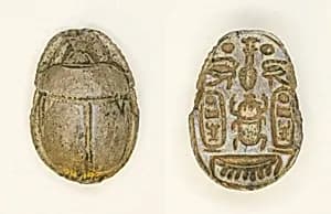 Scarab: Menkheperra (Thutmose III) by Ancient Egyptian