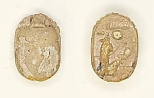 Scarab: Menmaatra (Sety I) by Ancient Egyptian