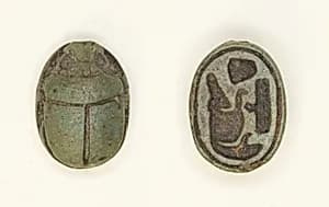 Scarab: Sobekhotep by Ancient Egyptian
