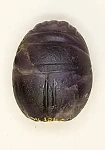 Scarab: Uninscribed by Ancient Egyptian