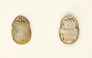Scarab: Wish Formula by Ancient Egyptian