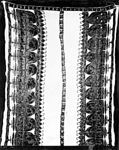 Scarf by Unknown