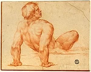 Seated Male Nude by Michelangelo Buonarroti