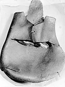 Shoe by Unknown