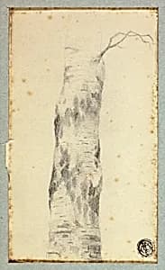 Sketch of Tree Trunk by Hendrik Pieter Koekkoek