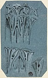 Sketches of a Capitol by Unknown
