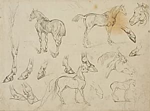 Sketches of a Horse by Jean Louis André Théodore Géricault