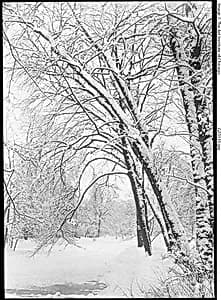 Snowscape, Berlin by Alfred Stieglitz