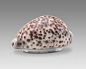 Snuff Box by Loring Bailey