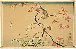 Society Finches (Jushimatsu) by Kitao Masayoshi (Kuwagata Keisai)