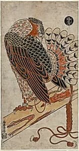 Sparrowhawk (Konori taka) by Torii Kiyomasu I