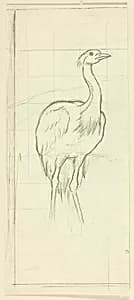 Standing Bird by Henry Stacy Marks