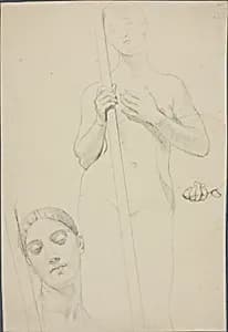 Study by Jean Auguste Dominique Ingres