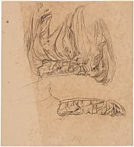 Study for Festival
