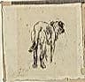 Study of a Dog by Jean François Millet