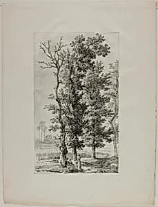 Study of Trees by Louis Pierre Baltard