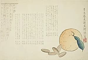 Tangerine and Chinese Legend by Kosei